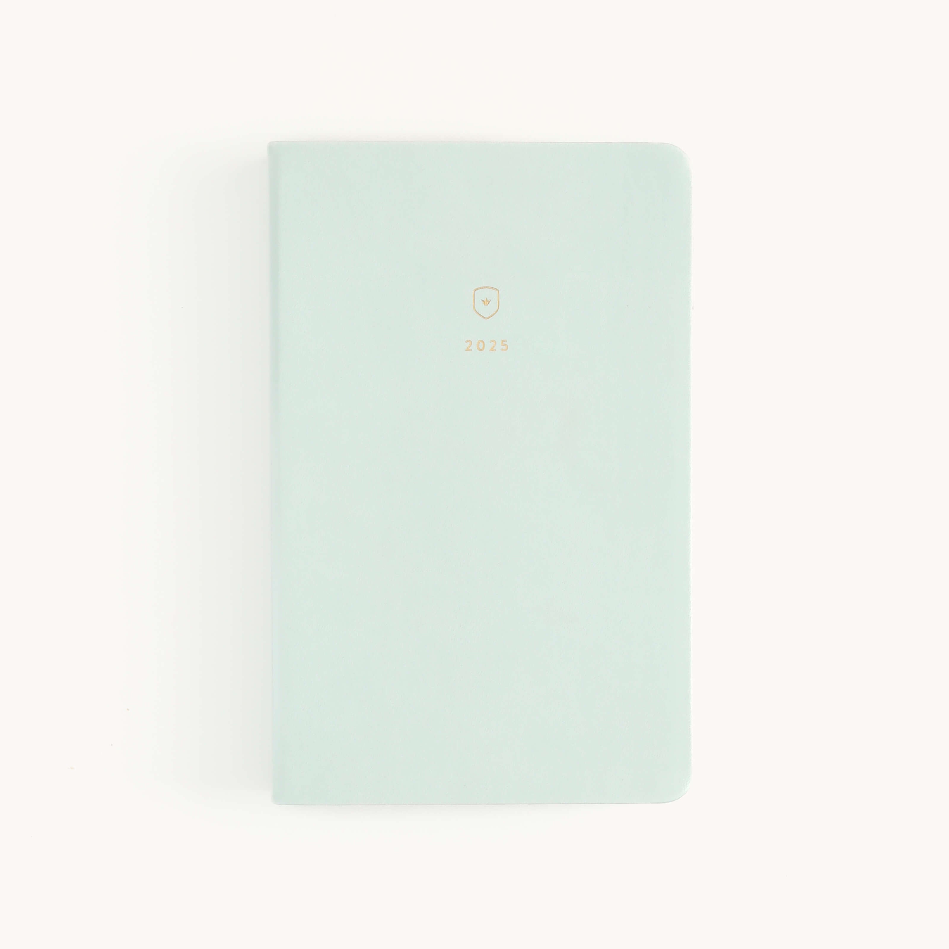 2025 Calendar Year Daily Dapperdesk Planner by Emily Ley featuring the Sea Salt leatherette cover with gold foil details.