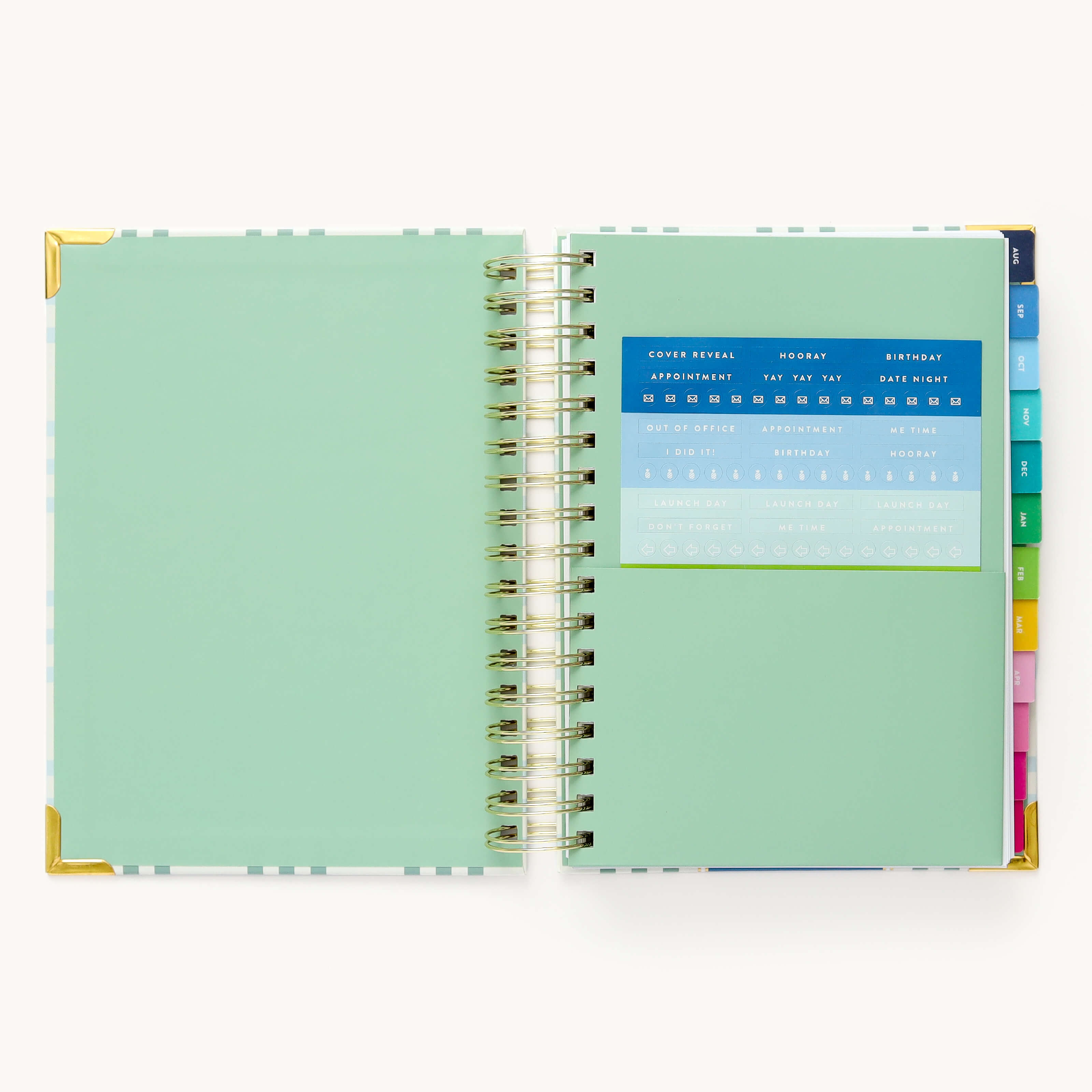 Colorful sticker sheet included in the inner pocket with the 2024-2025 Academic Year Daily Simplified Planner by Emily Ley in the Pistachio Plaid cover design for customization. 