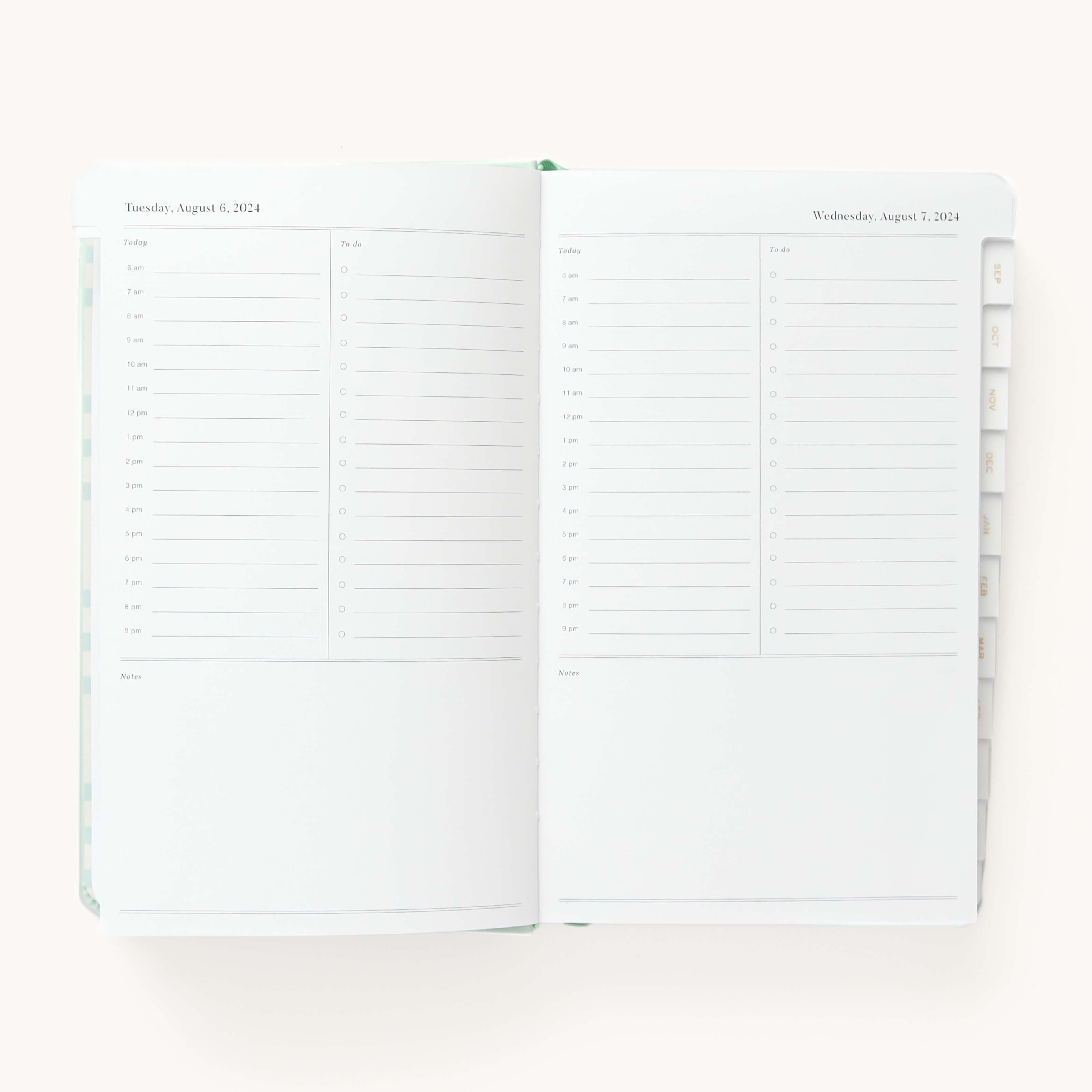 2024-2025 Daily Dapperdesk Planner by Emily Ley in the Sea Salt leatherette cover open to a two-page daily spread featuring Tuesday and Wednesday. Features a clean, minimalistic design with lined sections for daily tasks, to-do lists, and notes.