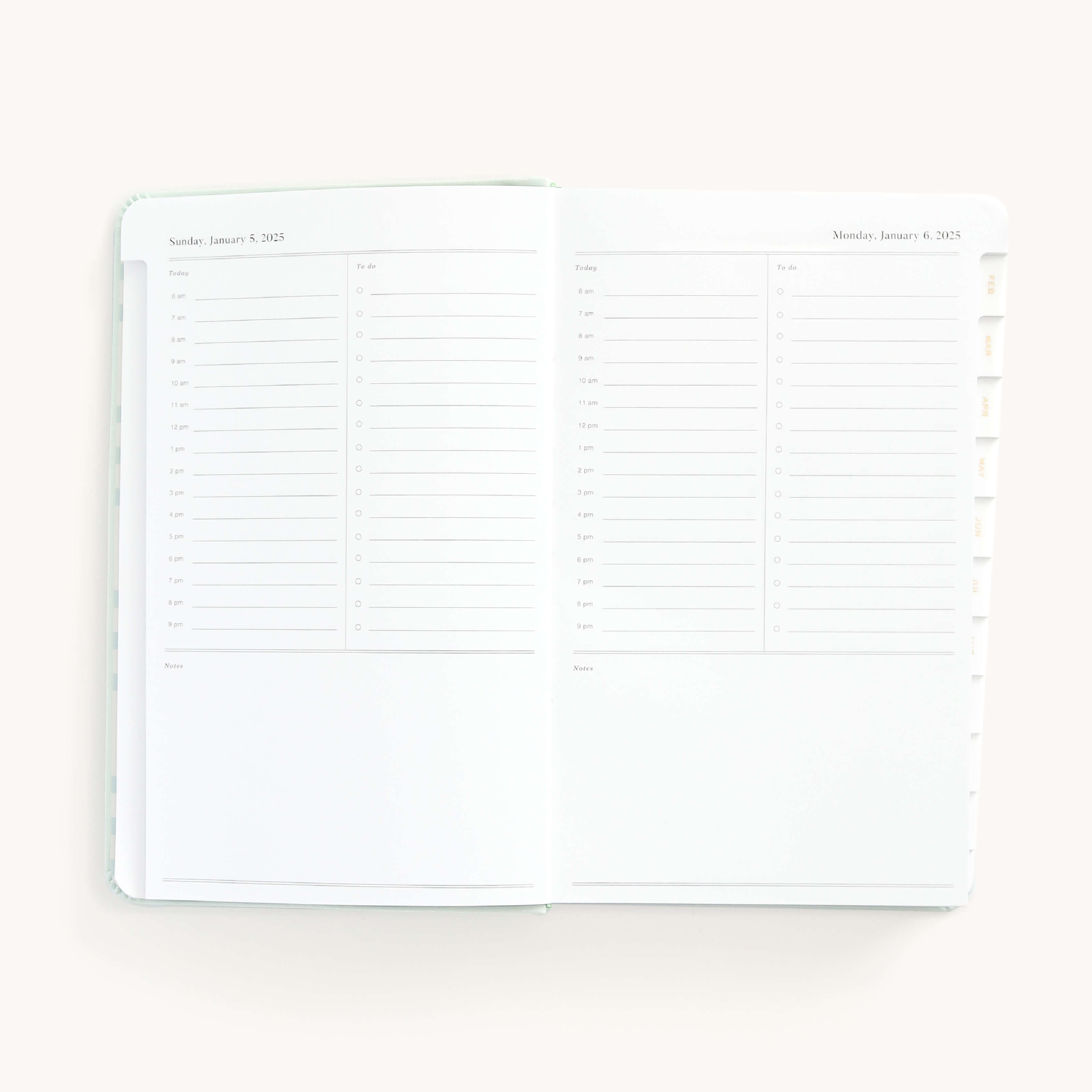 2025 Daily Dapperdesk Planner by Emily Ley in the Sea Salt leatherette cover open to a two-page daily spread featuring Sunday and Monday. Features a clean, minimalistic design with lined sections for daily tasks, to-do lists, and notes.