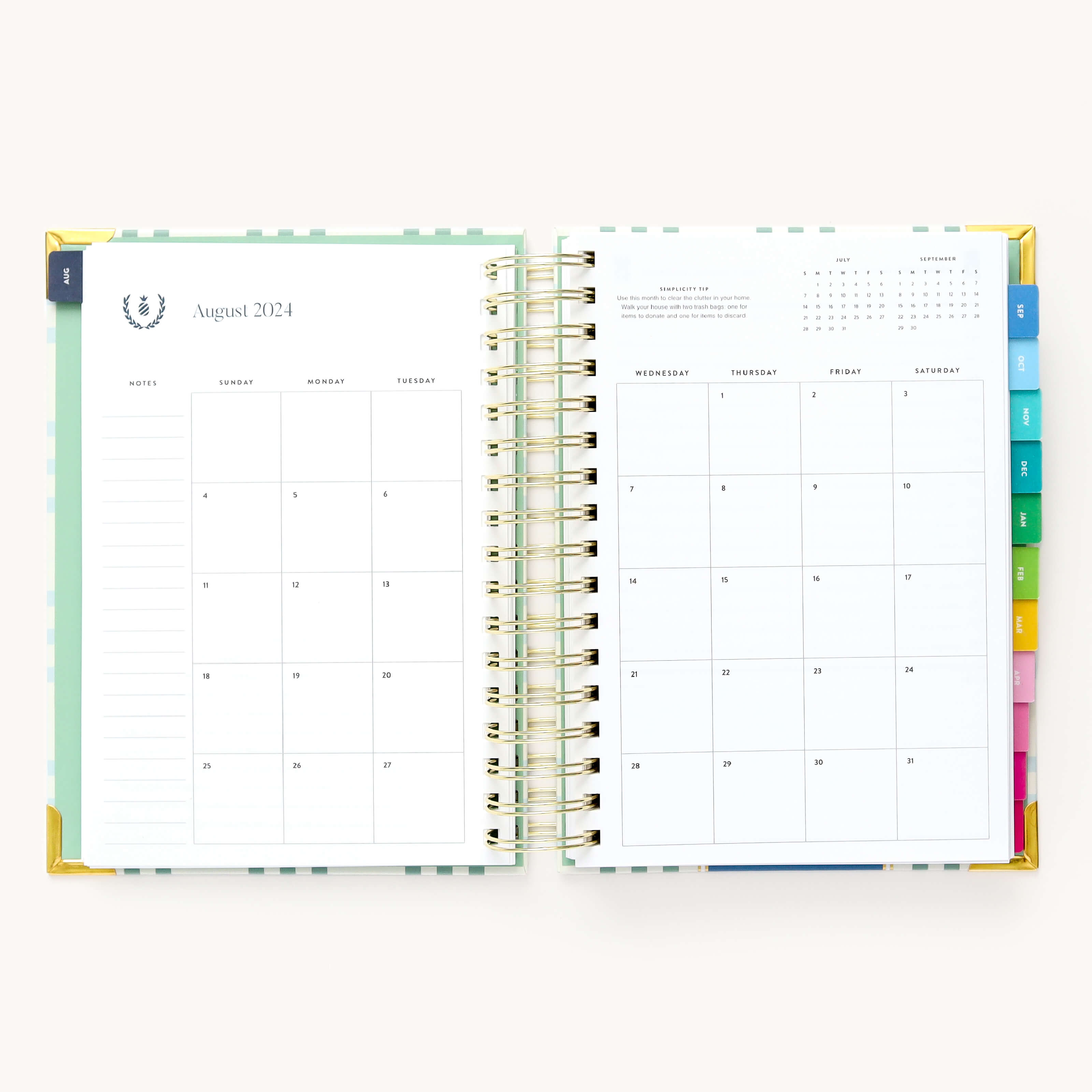 Monthly calendar spread in the 2024-2025 Daily Simplified Planner by Emily Ley in the Pistachio Plaid cover design featuring a clean, minimalistic layout with space for goal setting, appointments, and important dates.