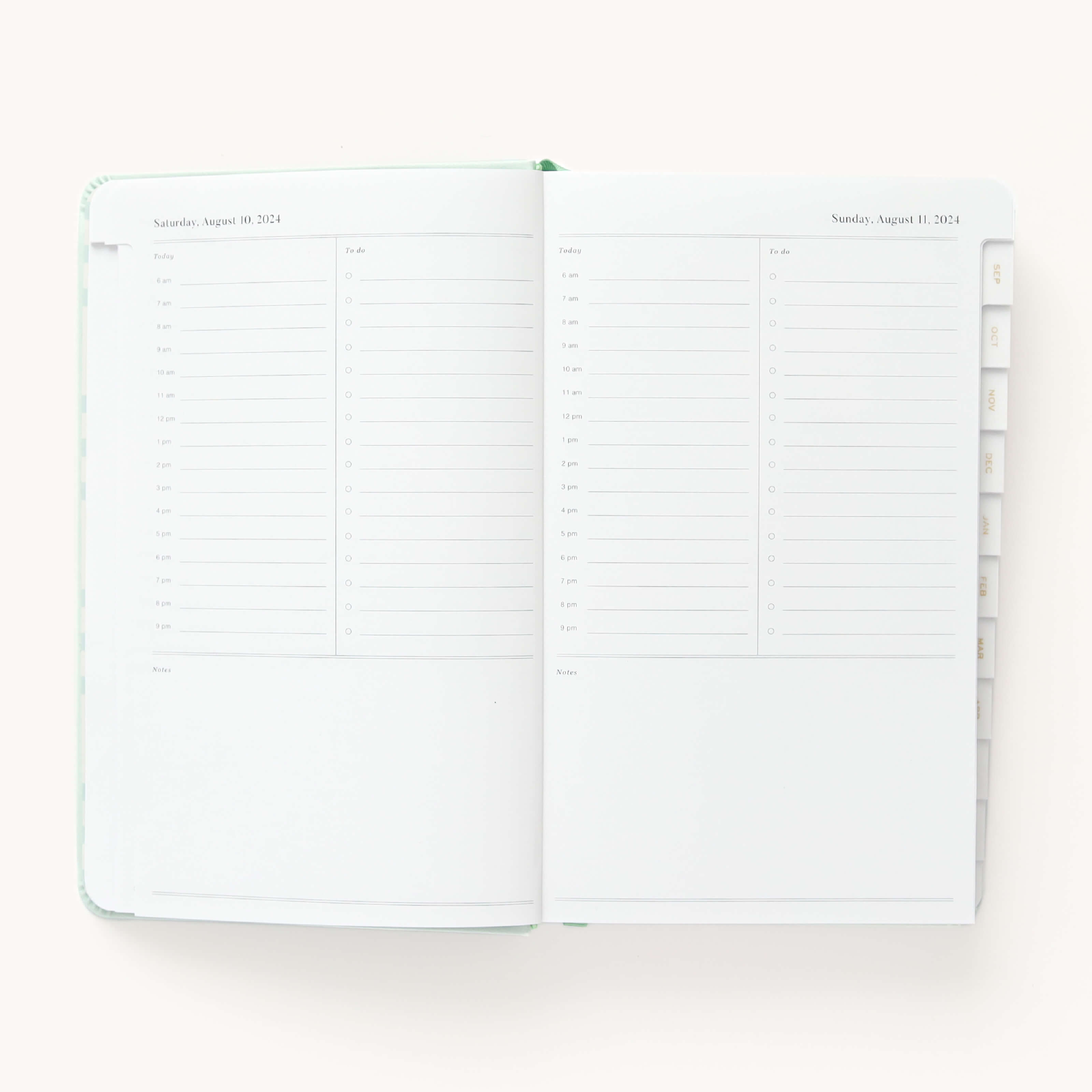 2024-2025 Daily Dapperdesk Planner by Emily Ley in the Sea Salt leatherette cover open to a two-page daily spread featuring Saturday and Sunday. Features a clean, minimalistic design with lined sections for daily tasks, to-do lists, and notes.