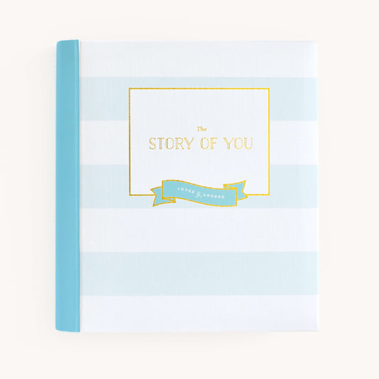 The Big Kid Book - Navy & Teal | Gifts Under | Simplified by Emily Ley