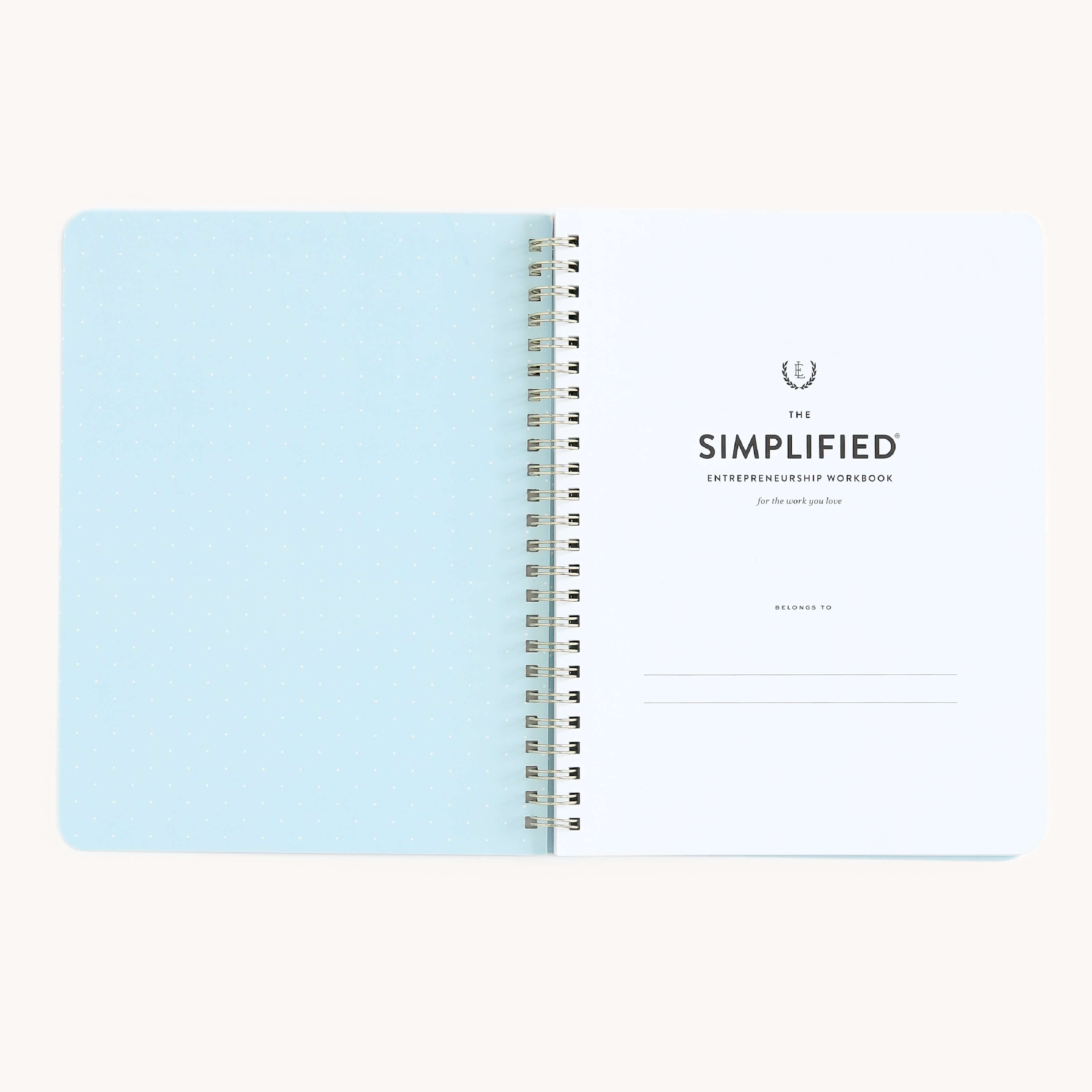 Workbook, Entrepreneurship – Simplified® by Emily Ley